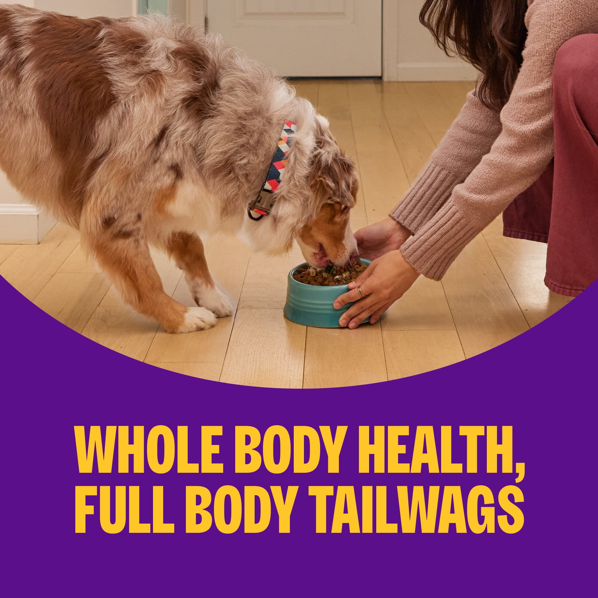 Wellness Complete Health+ Adult Dry Dog Food with Freeze Dried Wellbites, Wholesome Grain Kibble+, Natural, Chicken and Oatmeal Recipe, 20 lb Bag
