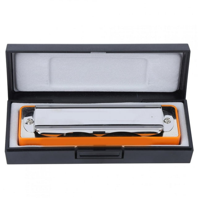 Dioche Harmonica de Blues, Orgue à Bec Professionnel à Plaque de Laiton, pour Enfants Musical