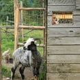 thumbnail image 6 of Funny Goat Barn Sign Farmhouse Wall Decor Please Keep Gate Closed No Matter What Goats Say Outdoor Yard Metal Tin Sign Vintage Poster for Home Garden Country Farm Wall Decor Gift 8" x 12", 6 of 6