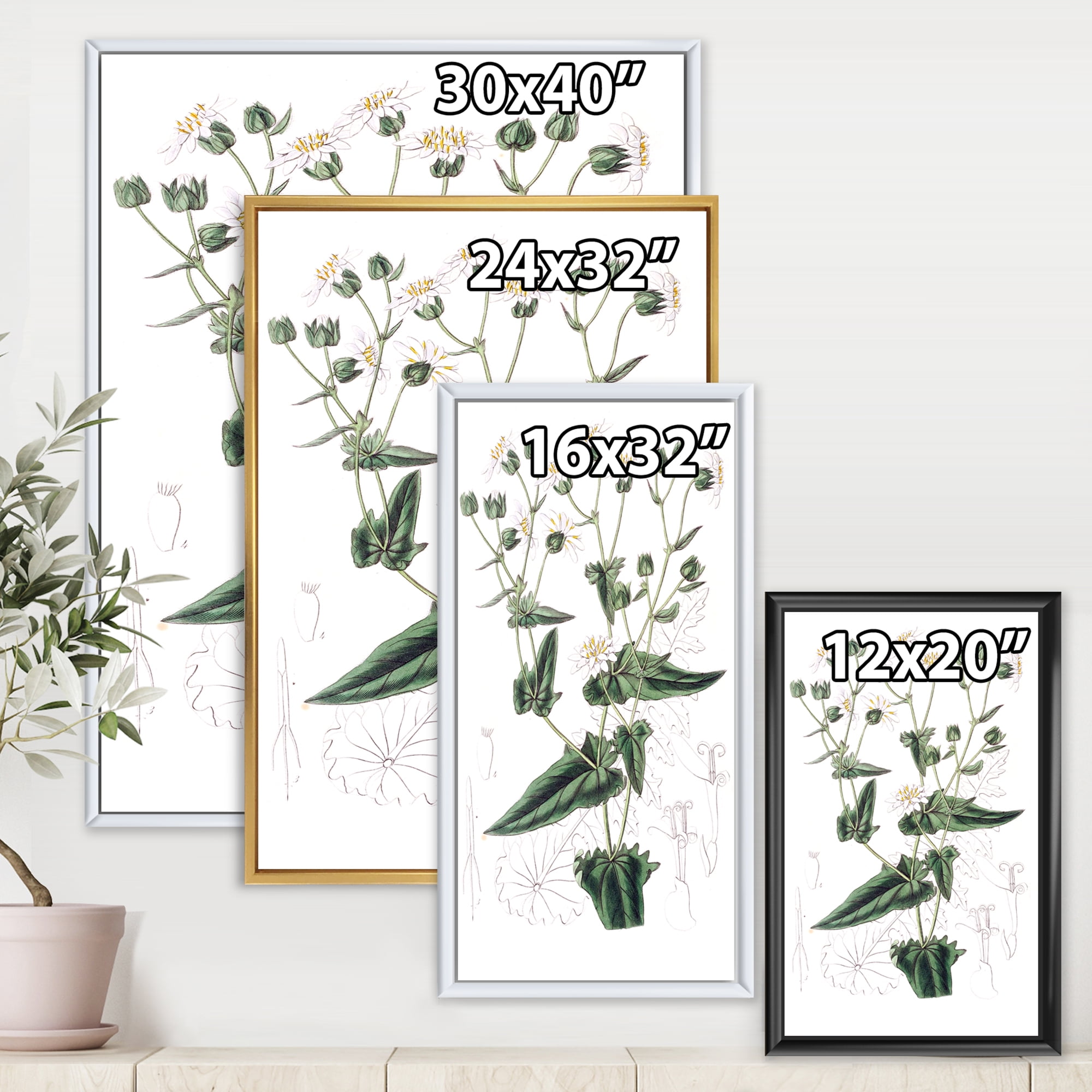 Designart 'Ancient Plant Life XXII' Traditional Framed Canvas Wall Art Print