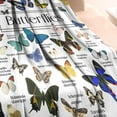 thumbnail image 3 of White Butterfly Name Pattern Blanket,Comfortable Soft Flannel Throw Blanket,All Season,Warm Lightweight Blankets for Sofa Bed Couch Living Room Chair,40"x50", 3 of 4
