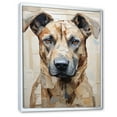 thumbnail image 2 of Designart "Handsome Belgian Malinois Pose" Animals Dog Floater Framed Canvas Art Print, 2 of 5