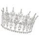 thumbnail image 1 of Tiara para Boda de Imitación Joya Plata, 1 of 9