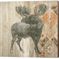 thumbnail image 1 of Natural History Lodge Southwest VIII by Wild Apple Portfolio, Canvas Wall Art, 1 of 1