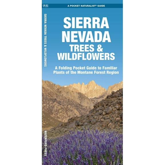 Nature Observation North America Sierra Nevada Trees & Wildflowers, (Paperback)