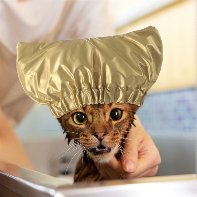 CBFFDC Elastic Pet Bath Hat Waterproof Pet Shower Hat Fastener Adjustable Headgear Ear Protection Comfortable Bathing Grooming Hat for Pets