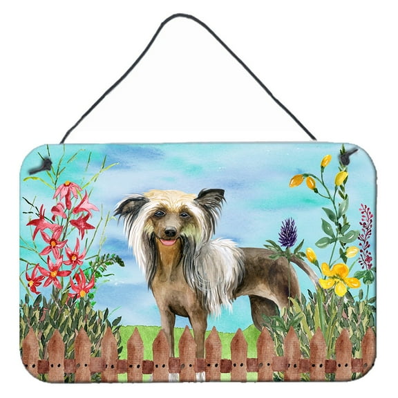 Carolines Treasures CK1221DS812 Chinese Crested Spring Wall or Door Hanging Prints 8x12 multicolor
