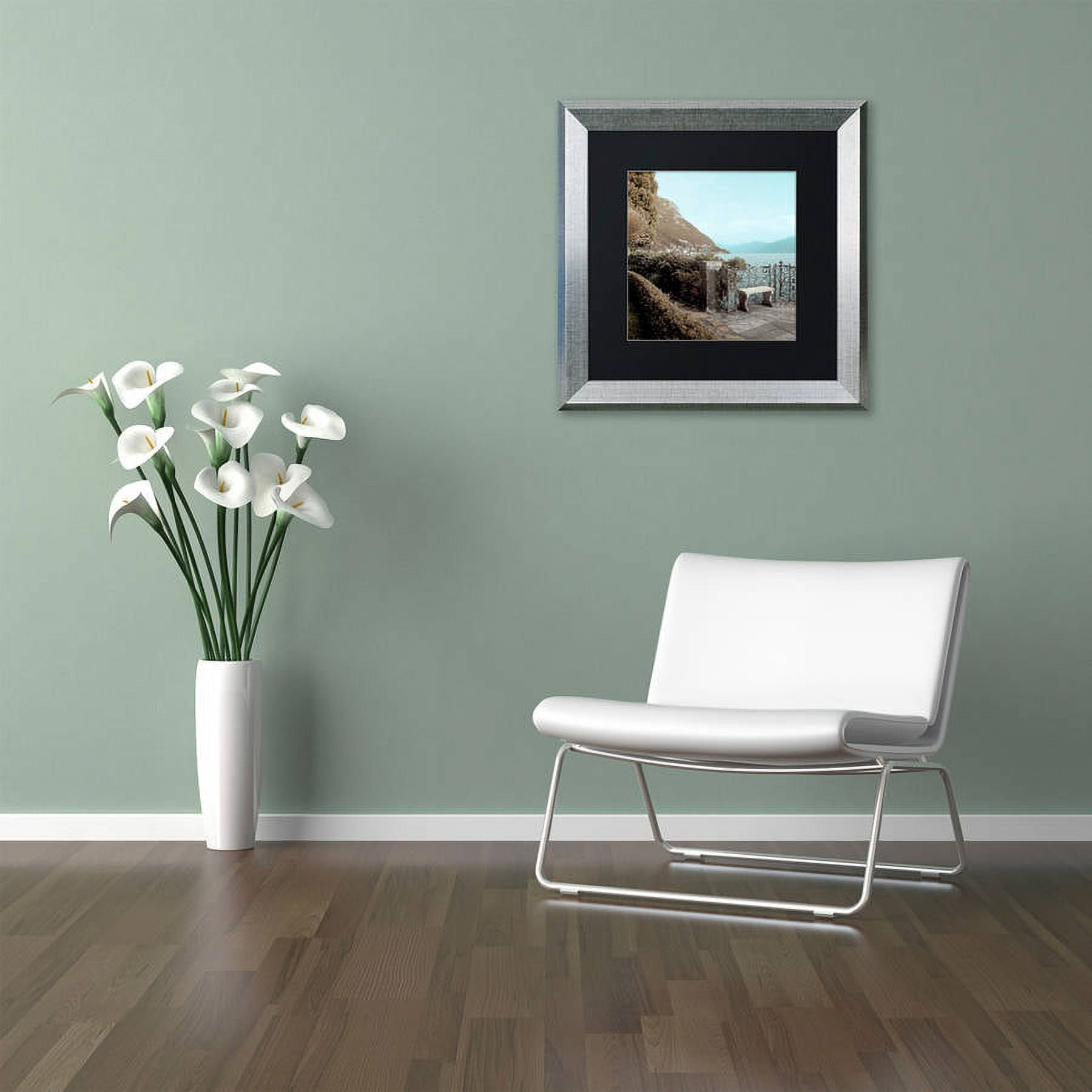 Trademark Fine Art "Lake Vista IV" Canvas Art by Alan Blaustein, Black Matte, Silver Frame