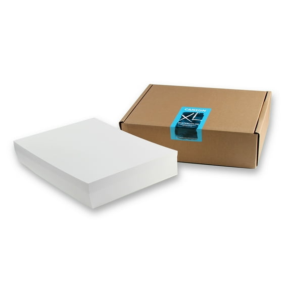 Canson XL Series Watercolor Sheet Bulk Pack, Midweight White Paper, 100 Sheet, 9x12 inch, 1 Count