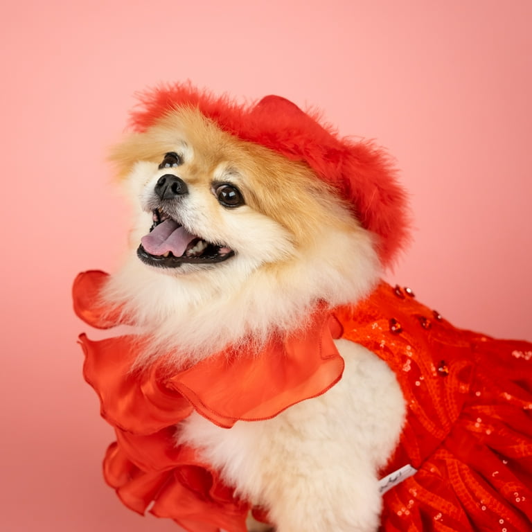 open lace back dress Woofmas Dog Dress main image 1