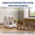 thumbnail image 3 of Comedero para gatos PAWSPIK con microchip RFID, 16 tazas, control por app, 3 of 9