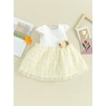 thumbnail image 3 of Sylvamorning Robe à Manches Courtes pour Bébé Fille, Robe Trapèze en Tulle à Mailles Superposées avec Fleurs, Robe Décontractée pour Nourrisson à Col Rond, Robe de Princesse pour Fête, Vêtements d'Été Mignons pour Tout-Petit 6M 12M 18M 24M, 3 of 9