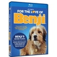 thumbnail image 2 of DISTRIBUTION SOLUTIONS pour LOVE BENJI (BR/DVD/DIGITAL) BRMV63316, 2 of 4