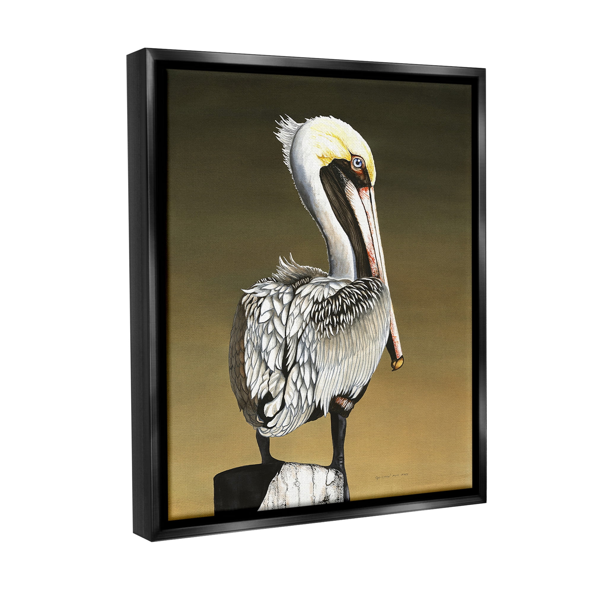 Stupell Industries Pelican with Intense Gaze Animals & Insects Painting Black Floater Framed Canvas Art Print Wall Art, 25 x 31
