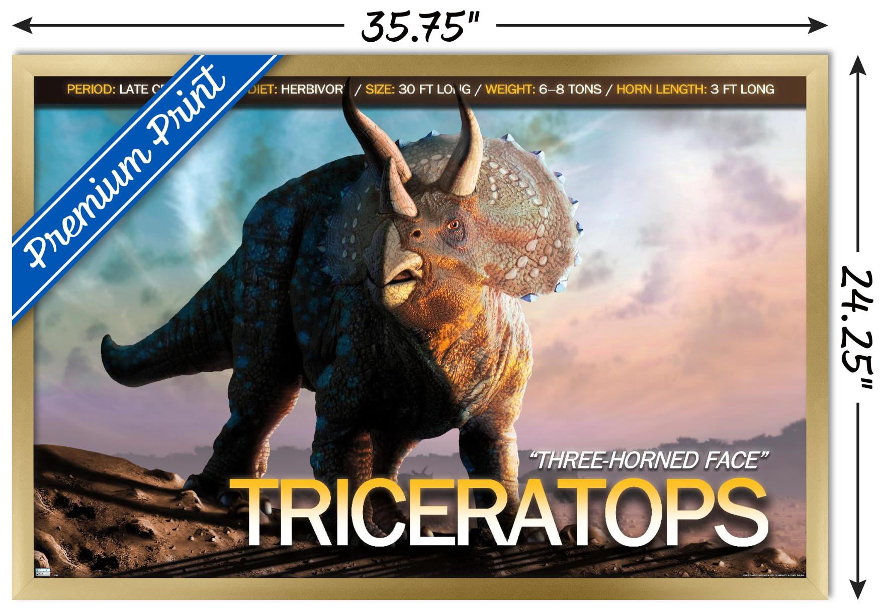 Dinosaurs - Triceratops Wall Poster, 22.375" x 34", Framed
