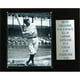 C & I Collectables 1215RUTHST MLB Nana Ruth New York Yankees Carrière Stat Plaque – image 1 sur 1