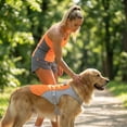 thumbnail image 5 of Dog Cooling Vest Dog Harness Cooler Jacket Adjustable Summer Clothing, for Walking Dog, Outdoor Camping and Hunting Training,Orange,L, 5 of 6