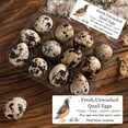 thumbnail image 4 of Unwashed Quail Egg Carton Stickers 1x2.5inch Farm Fresh Quail Eggs Carton Labels 120pcs, 4 of 6