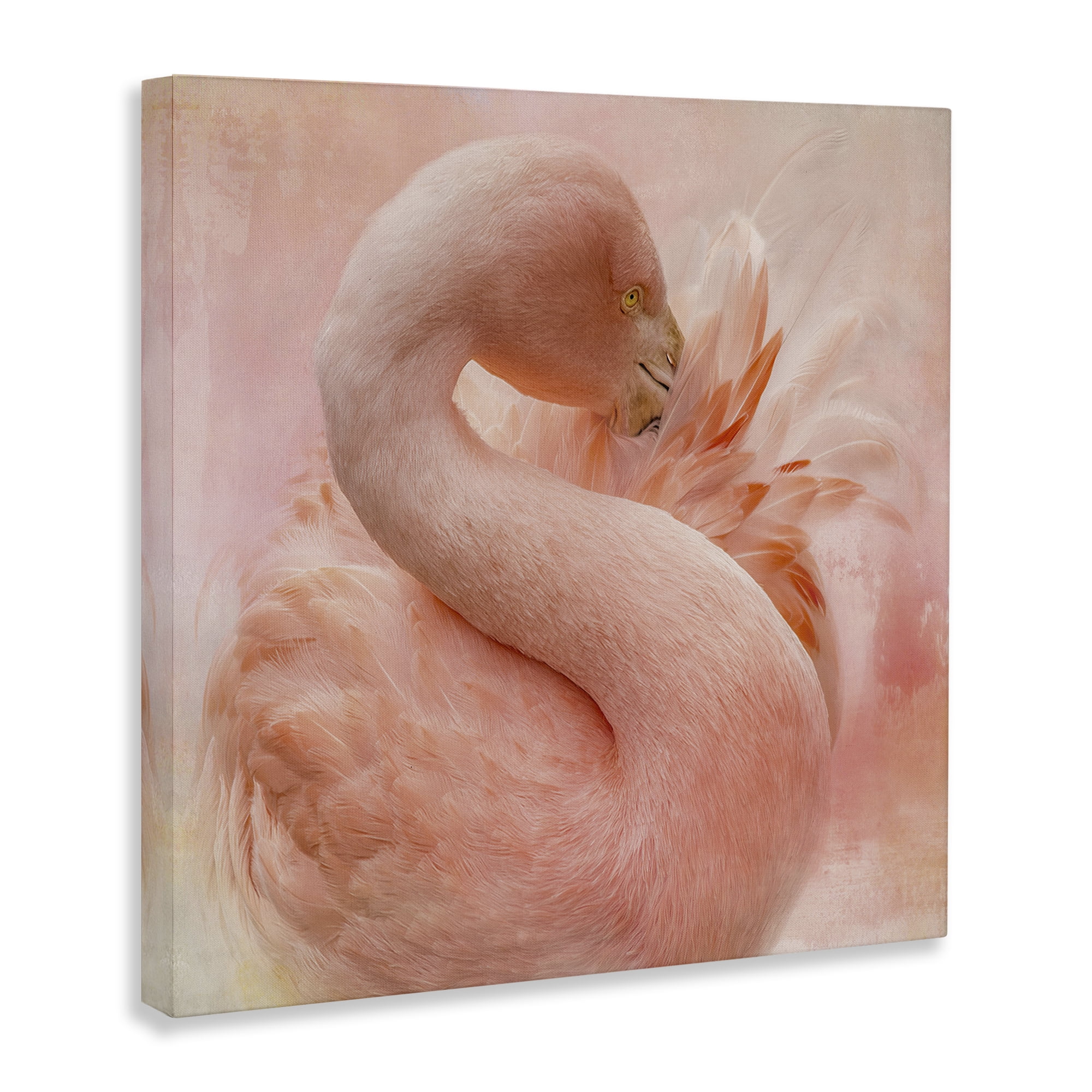 Stupell Industries Cocoon of Plumage Birds Painting Wrapped Canvas Art Print Wall Art, 17 x 17