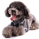 thumbnail image 5 of Correa para el pecho a control de mascotas, chaleco para perros, correa para el pecho con lazo, cuerda de tracción para mascotas, 5 of 6