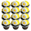 Sprinkle Deco White and Yellow Daisies Molded Sugar Cake/Cupcake Decorations - 12 ct