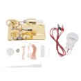 thumbnail image 2 of Stirling Engine Model 6.9x3.7x4.5 Inch Steam Engine Kit With Led Bulb and Flywheel Physics Toys, 2 of 7