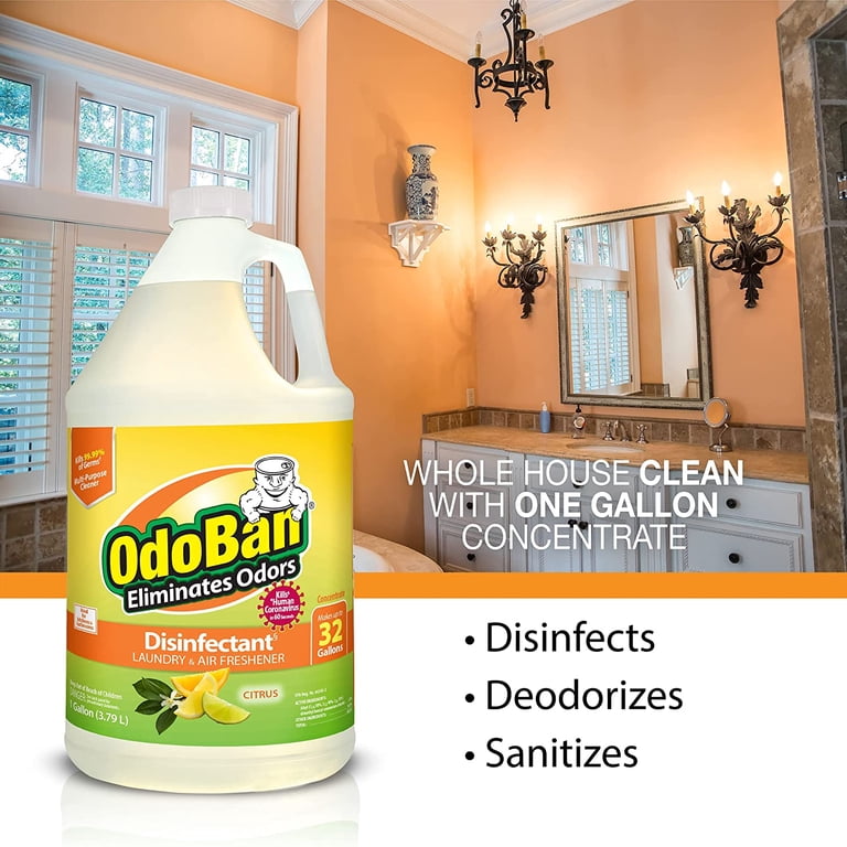 Disinfectant Concentrate & Odor Eliminator, 2 Gallons photo 4