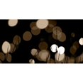 thumbnail image 3 of Berzel, Erin 14x9 Black Modern Framed Museum Art Print Titled - Bokeh Grass II, 3 of 5