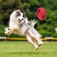 thumbnail image 4 of Dog Flying Disc Toy,rubber Outdoor Training Flying Disc Play, 4 of 5