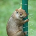 thumbnail image 7 of sunsanly 2Pcs Anti-Squirrel Spring Device Metal Bird Feeder Guard Squirrel Baffle Coil Spring Squirrel Barrier Squirrel-Proof Bird Feeder Accessory, 7 of 7