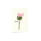 thumbnail image 1 of Flores secas Retro Kraft, tarjeta de felicitación de bendición, regalo de cumpleaños, invitación de boda, schristmas, 50 Uds., 1 of 4