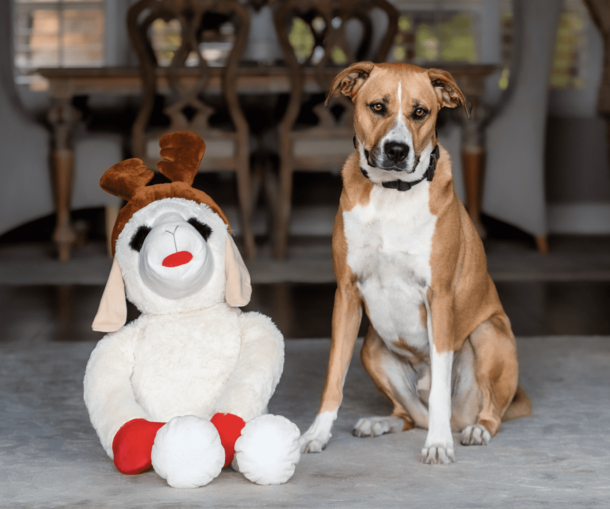 Multipet Plush Super Sized Holiday Lamb Chop Dog Toy, Reindeer with Antlers, 3Ft Tall, Limited Edition