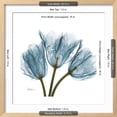 thumbnail image 3 of Tulips Blue, Botanical Framed Art Print Wall Art by Albert Koetsier Sold by Art.Com, 3 of 6