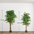 thumbnail image 7 of 6.2FT Artificial Ficus Silk Tree (75in) with Plastic Nursery Pot, Fake Plant for Living Room Balcony Corner Decor,Indoor-Outdoor Use, 7 of 7