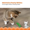 thumbnail image 4 of Catstages OrkaKat Wiggle Worm Cat Chew Toy – Catnip Dental Toy for Kittens and Cats, Orange Rubber with Ridges, 4 of 4