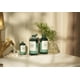 thumbnail image 4 of Tónico facial The Body Shop Tea Tree Skin Clearing 250 ml, 4 of 5