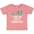 thumbnail image 3 of Inktastic Best Granny Ever Grandchild Boys or Girls Baby T-Shirt, 3 of 5
