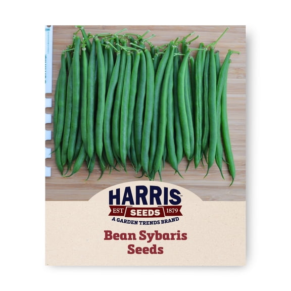 Harris Seeds Bean Sybaris Variety, Dark Green Pod Bean, 1,000 Count