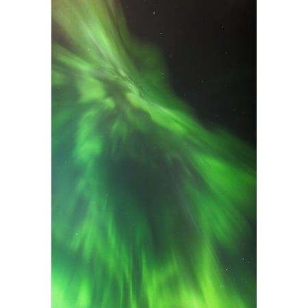 Posterazzi A green northern lights corona in the sky above the tony knowles coastal trail in winterAnchorage alaska united states of america Canvas Art - Kevin Smith Design Pics (24 x 38)