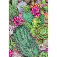 thumbnail image 3 of CafePress - Flowering Succulents - Postcards (Package of 8), 3 of 3