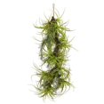 thumbnail image 1 of Nearly Natural 8340 48 in. Air Plant Artificial Hanging Plant, 1 of 1