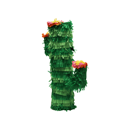 LaLa Imports 3D Cactus Pinata, 19 in x 13 in x 6 in
