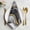 Multicolor, variant on Marble Black Grey Cloth Napkins, Modern Fake Stone Gold Foil Wavy Washable and Reusable Dinner Napkins Set of 4, Table Napkin for Kitchen Party Birthday Wedding Hotel Housewarming 20"x20"