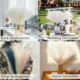 thumbnail image 2 of 30Pcs Grass Decor 17.7inch Short Fluffy Artificial Grass Pompas Floral Artificial for Valentine's day Decoration,Wedding Centerpieces (White), 2 of 8