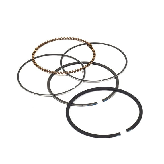 Briggs & Stratton Ring Set | 843953