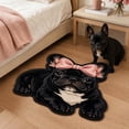 thumbnail image 6 of Funny 2D Animal Shaped Floor Mat, Soft Non-Slip Fleece Door Rug for Entryway Bedroom Bathroom, Cute Pet Print Indoor Carpet, 23.6 x 15.12 Inch Multicolor, 6 of 6