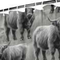 thumbnail image 3 of Gray Highland Cow Group Pattern Shower Curtain 72"x84" ,Bathroom Decorative Shower Curtains Set with 12 Hooks,Modern Waterproof Washable Shower Curtain, 3 of 6