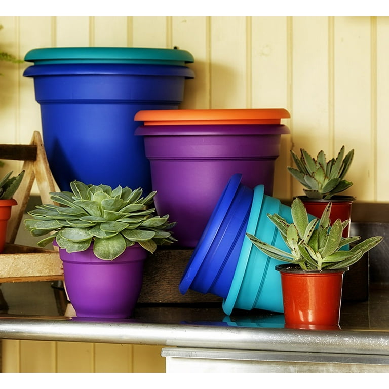 Medium (8-25 quarts) Pots & Planters at