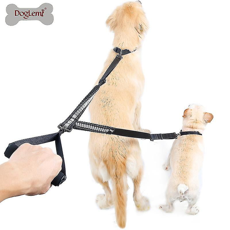 2 dog walking leash