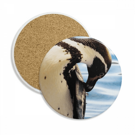 

Ocean Antarctic Penguin Science Nature Picture Coaster Cup Mug Tabletop Protection Absorbent Stone
